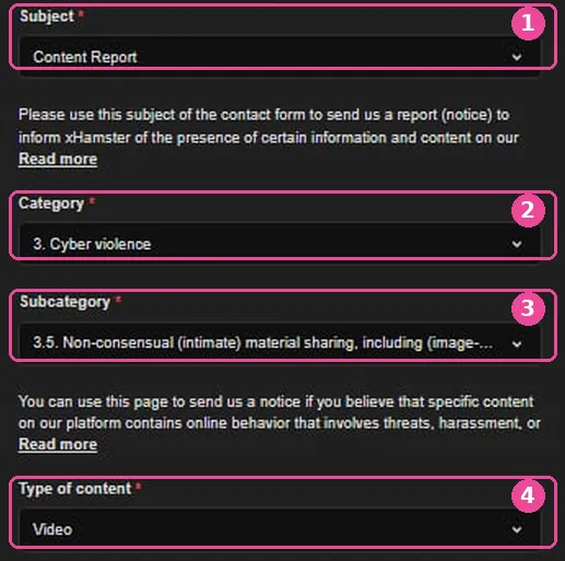 Полетата Subject, Category, Subcategory и Type of content във формата на xHamster, отбелязани с номера от 1 до 4